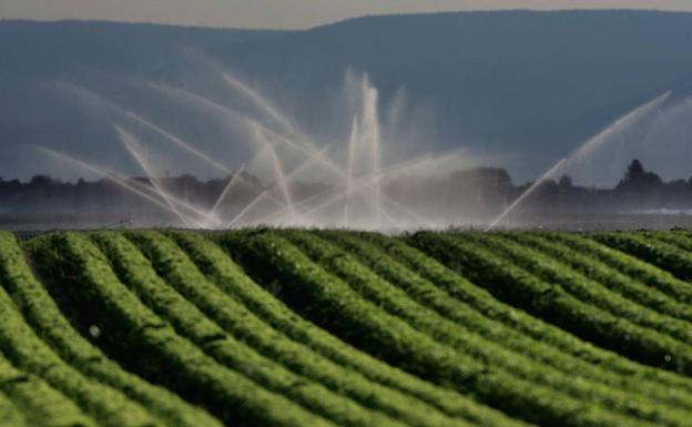 El agua abastecerá 600 hectáreas y beneficiará a 200 agricultores.